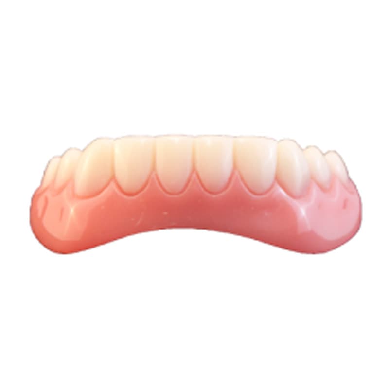 Instant Smile Teeth Lower Veneer