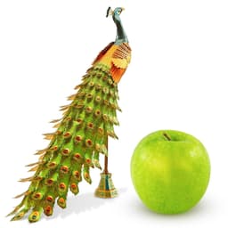 Metal Earth ICONX: Peacock Color - image 2 thumbnail